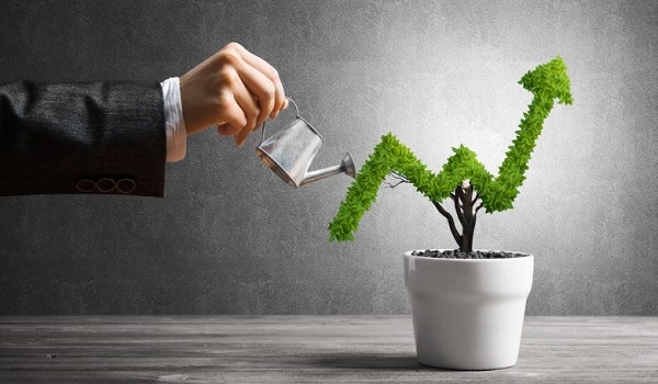 Birla Arnaa Investment